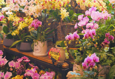 1-800-Flowers