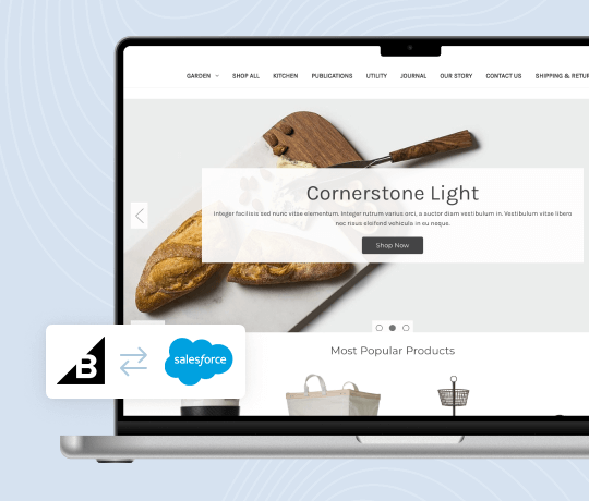 BigCommerce Marketing Cloud Connector