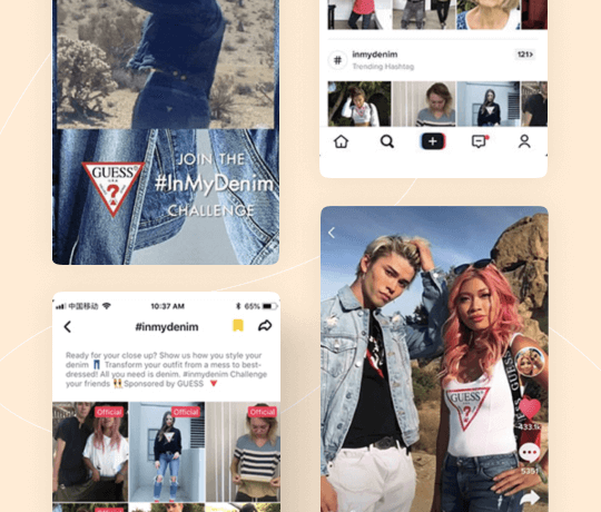tiktok-for-business-webkul
