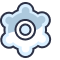 Custom services
