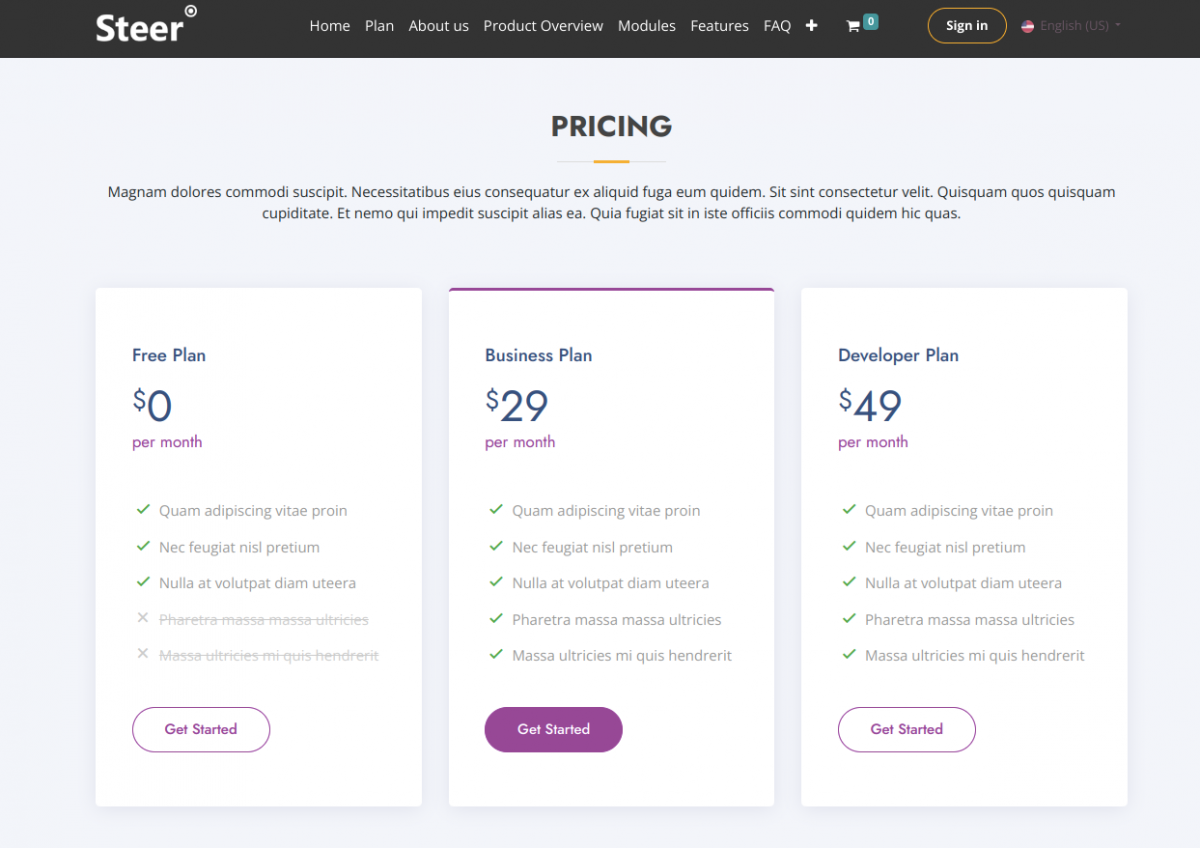 SteerERP Pricing