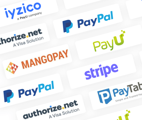 Custom Payment Method Development 