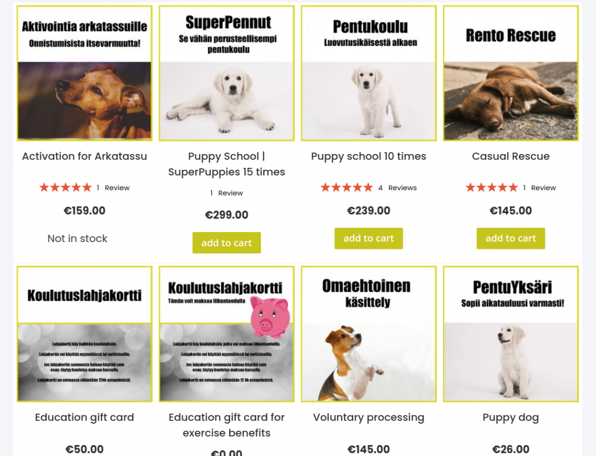 LMS for Magento 2 Case study