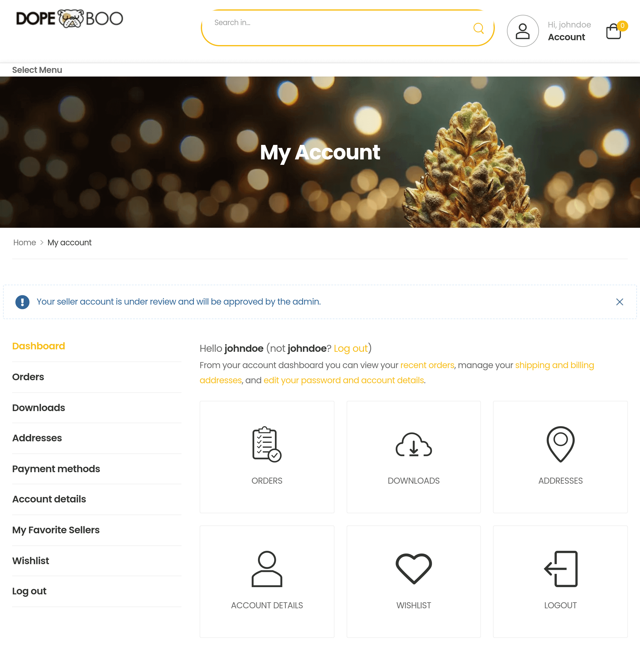 socialzingerr.com_dashboard_Marketplace