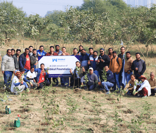 tree-plantation-drive
