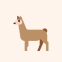 vicuna